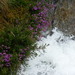 Heather Waters Photo 13