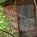 Todd Calvert Photo 28