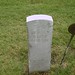 John Bowden Photo 9