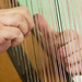 Robin Harp Photo 17