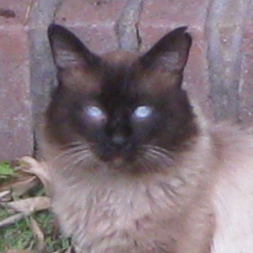 Federico Ledesma Photo 3