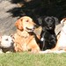 Lisa Howell Photo 13