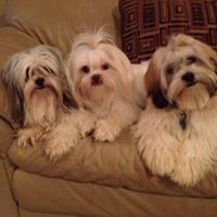 Teresa Withers Photo 30