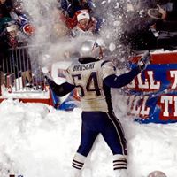 Todd Roach Photo 10