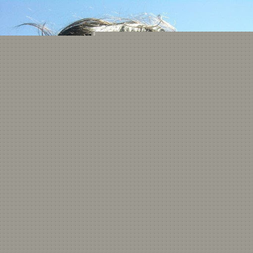 Lucas Parker Photo 9