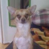 Star Lucero Photo 13