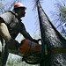 Robert Freeman Photo 42