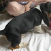 Wilma Male Photo 8