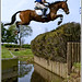 Phillip Dutton Photo 7