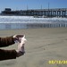 Stanley Huntington Photo 3