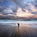 Jason Whitby Photo 7