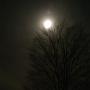 Gary Ward Photo 23
