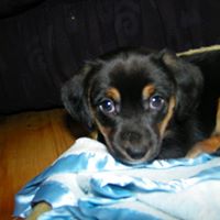 Annie Jenkins Photo 11