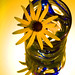 Susan Glass Photo 11