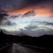 Linda Sartor Photo 3