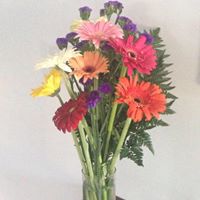 Jennifer Closser Photo 8