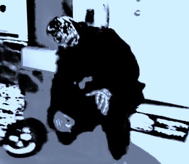 Robert Mercer Photo 17