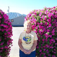 Connie Stovall Photo 5