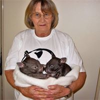 Elizabeth Neville Photo 30