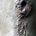 Robert Feathers Photo 29