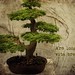 Jerry Khan Photo 15