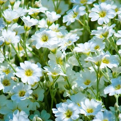 Debra Hughes Photo 31