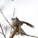 Robin Angers Photo 5