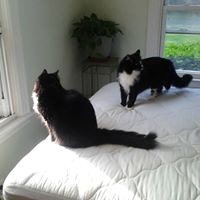 Judy Tallman Photo 8