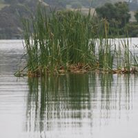 Cindy Summerfield Photo 7
