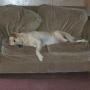 Sue Porter Photo 34