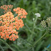 Gail Burns Photo 33
