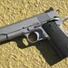 Dan Wesson Photo 10