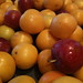 Tonya Plum Photo 4