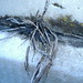 John Perryman Photo 24