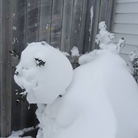 Joyce Boudreau Photo 6