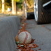 Jeff Heinz Photo 22