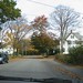 Jeannette Gardner Photo 15