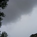 Tracy Coker Photo 25