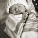 Shawn Plunkett Photo 27