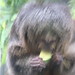 William Roder Photo 4