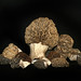 Stephen Morel Photo 6