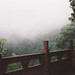 Xian Yu Photo 14