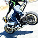 Alex Flores Photo 13