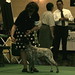 Kelli Fitzgerald Photo 14