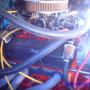 Randall Crow Photo 16