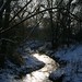 Lee Winter Photo 27