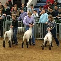 Connie Leeper Photo 22