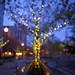 Michael Schuller Photo 32