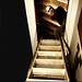 Jack Wortman Photo 5