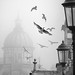 Heather Buckley Photo 28